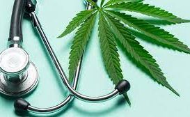 Medisinsk Cannabis som smertestillende?