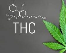 De faste grensene for måling av cannabis/ THC- nivå i blodet revideres endelig av Høyesterett